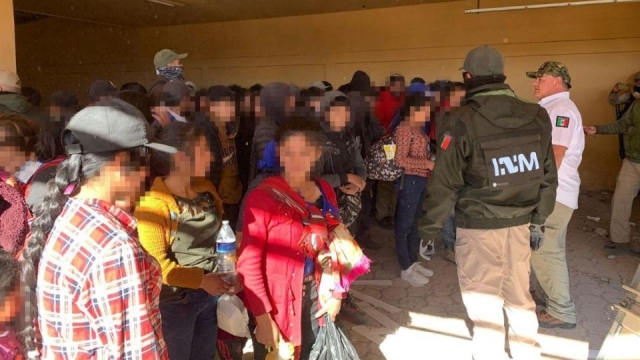 Localizan a 101 migrantes guatemaltecos en Sonora