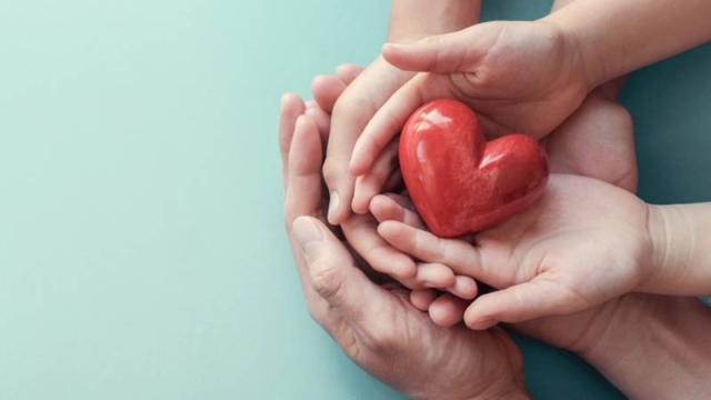 Día Internacional de la Donación de Órganos: Estos son los que sí y los que no se pueden donar