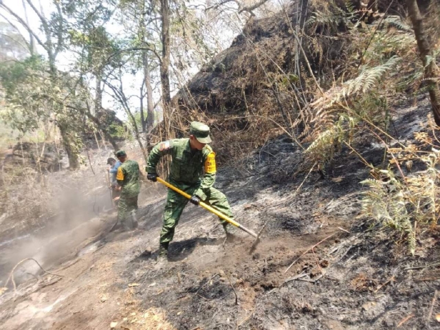 Fuerzas federales activaron los planes de emergencia para apoyar el combate del incendio ocurrido en una zona que forma parte del parque Nacional El Tepozteco. 