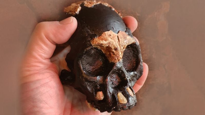 El descubrimiento del cráneo de un niño aviva el debate sobre los rituales de nuestros antepasados