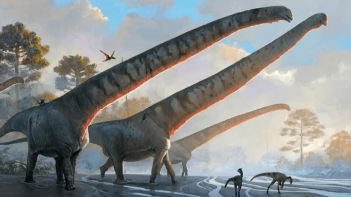 Fósil de dinosaurio con cuello de 15 metros sorprende a científicos