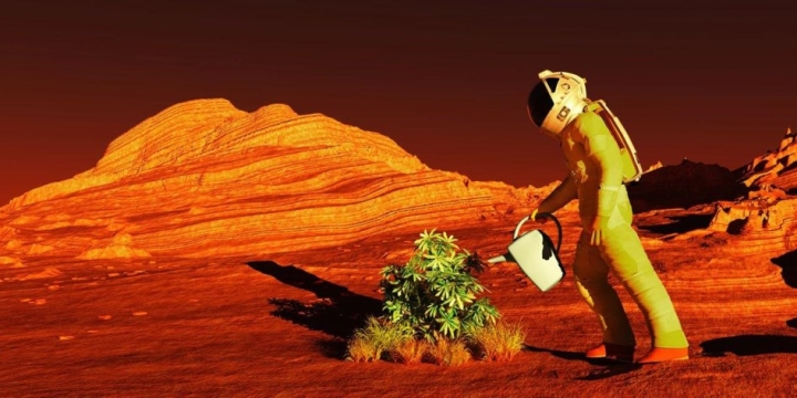 ¿Podríamos cultivar en Marte?