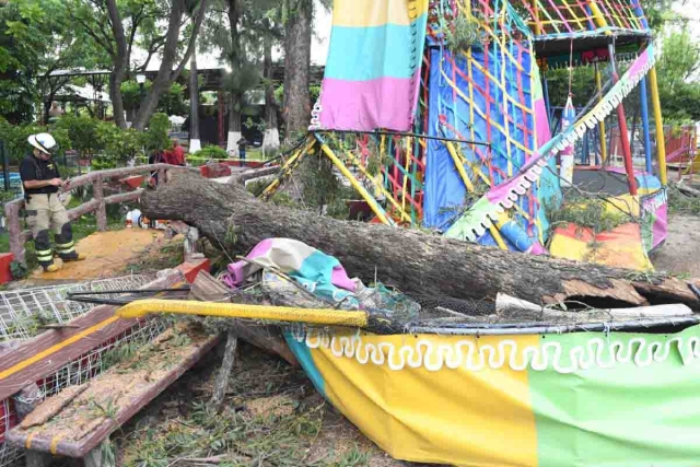 Un árbol causó diversos daños en el parque de la colonia Emiliano Zapata.