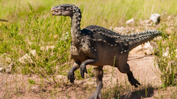 Descubren una nueva especie de dinosaurio en Brasil