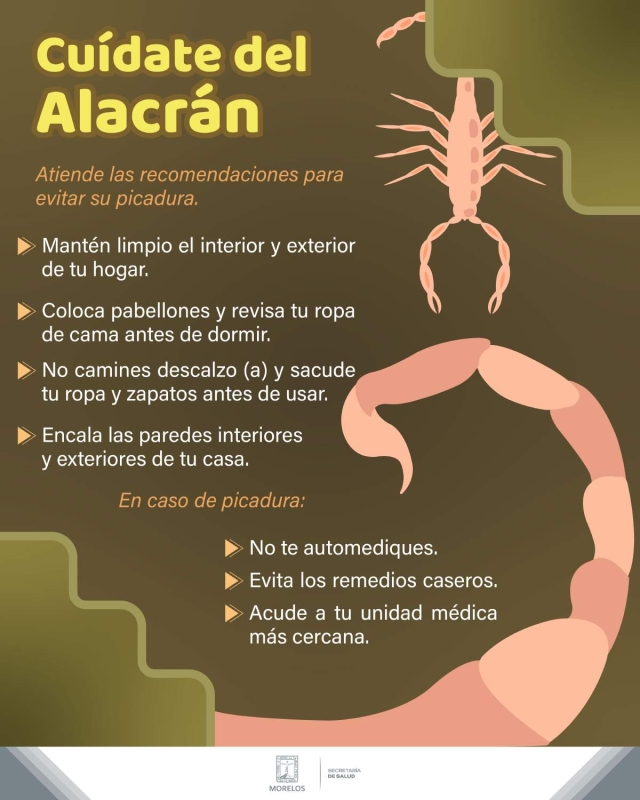 Aumentan casos de picadura de alacrán en Morelos