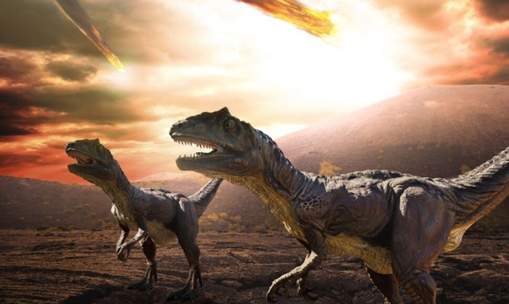 Descubrieron el mes exacto en el que se extinguieron los dinosaurios