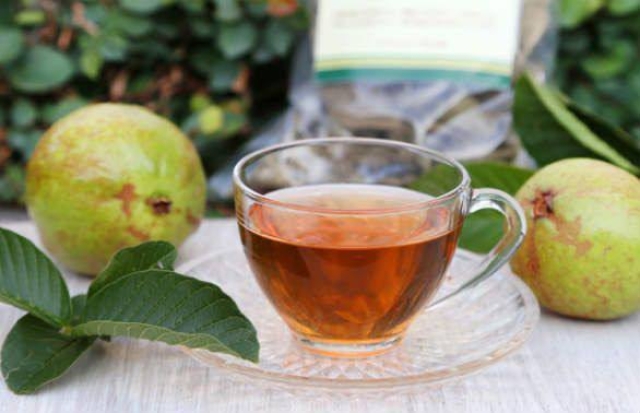 Descubre los beneficios del té de guayaba para tu bienestar