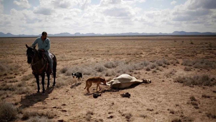 México enfrenta la peor de sus sequías en décadas