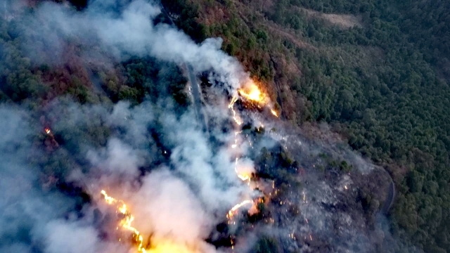 Atiende Mando Unificado 10 incendios forestales en Morelos