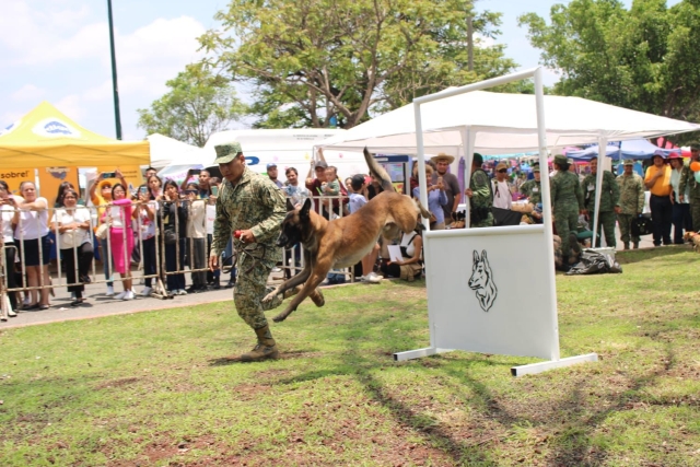Asiste personal del Ejército Mexicano a &#039;Pet Fest 2024&#039; en Cuernavaca