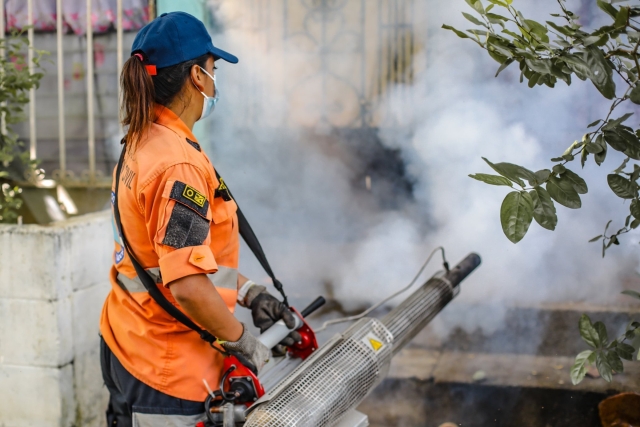 El Salvador declara alerta roja por aumento de casos de dengue