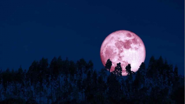 Luna de Fresa 2021: ¿Cómo ver este fenómeno astronómico en México?