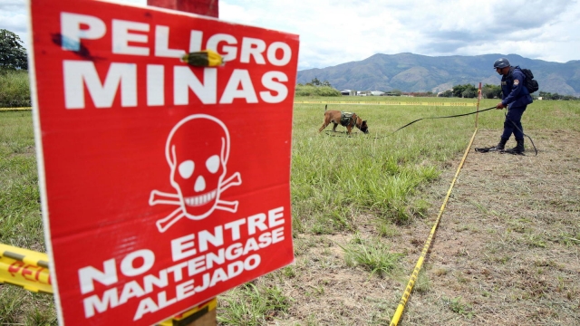 Venezuela pide ayuda a ONU para desactivar campos minados.