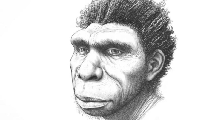 Existe una nueva especie de ser humano: Homo bodoensis