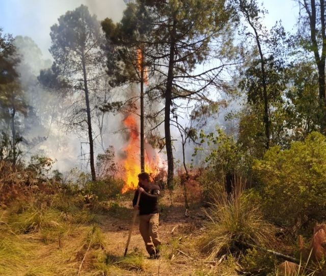 Atención de incendios forestales durante el fin de semana en Morelos