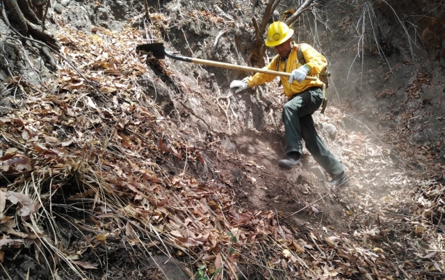 Combaten incendio forestal en paraje &#039;Los Corredores&#039; de Tepoztlán