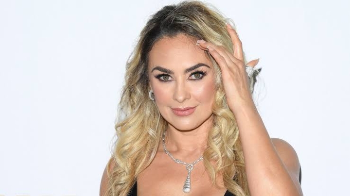 Aracely Arámbula explica por qué mantiene la identidad de sus hijos oculta