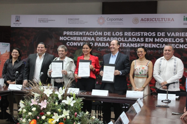 Presentan registros de variedades de nochebuena desarrolladas en Morelos