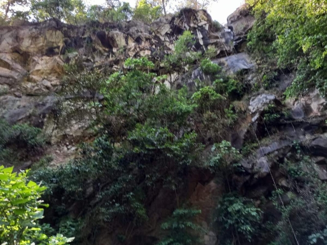 Imagen del manantial que da origen a la barranca El Salto, una de las afluentes aún conservadas en Cuernavaca y que abastece de agua a los poblados de Santa María y Tetela del Monte. 