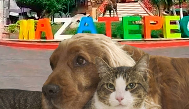 Anuncian campaña de esterilización canina y felina en Mazatepec