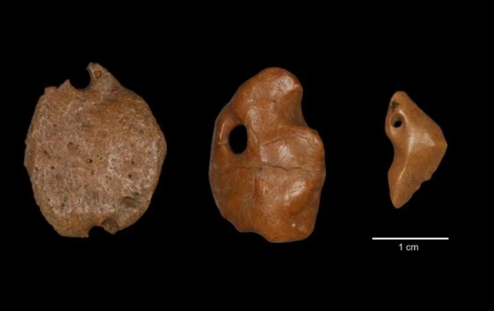 Aretes de hace 25 mil años sugieren que el hombre llegó a América antes de lo pensado