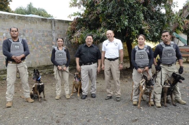 Cuatro ejemplares caninos de la FGE fueron certificados en búsqueda de restos humanos y narcóticos. 