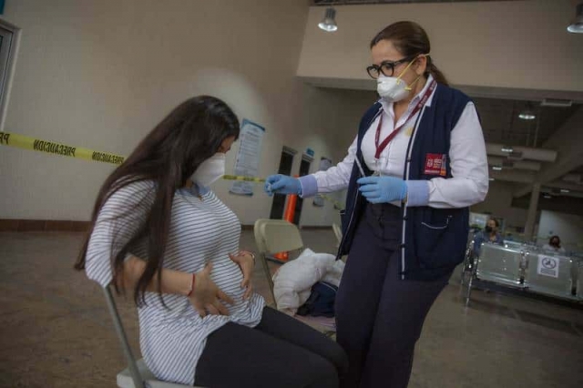 Gobierno incluirá a mujeres embarazadas en siguiente etapa de vacunación COVID.