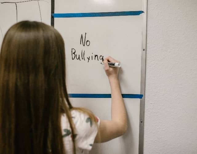 Ley contra el bullying escolar en Francia.