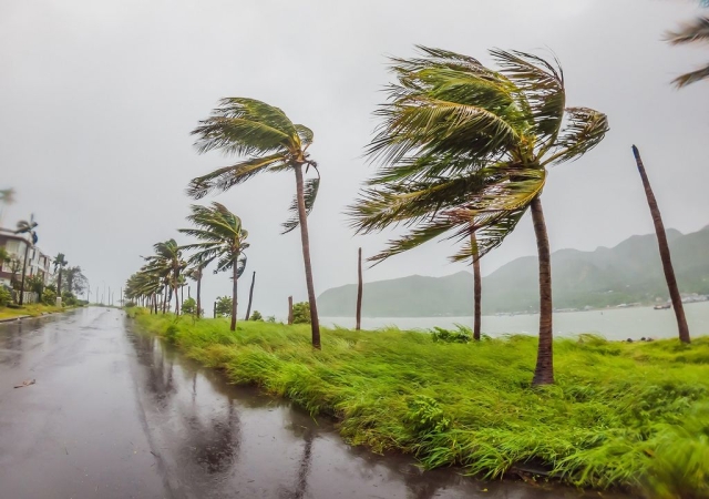 Se forma Agatha, primer ciclón tropical del año: estos serán los estados afectados