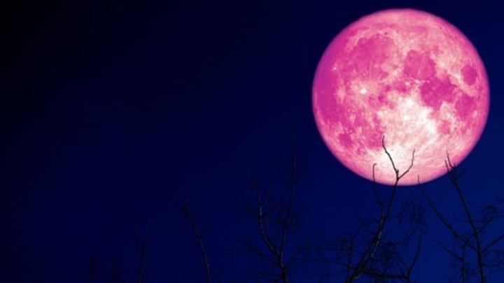 Súper Luna de fresa: ¿Por qué se llama así y qué la causa? Esta es la explicación