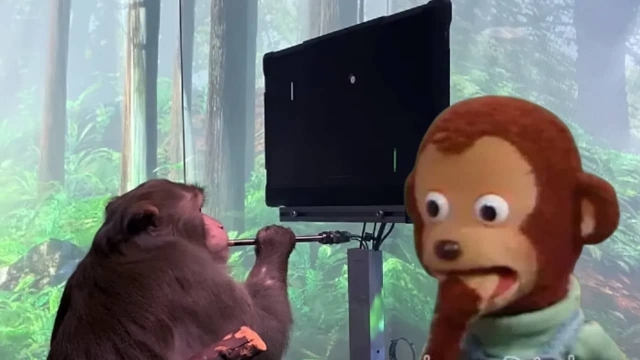 Un mono jugando telepáticamente videojuegos es el futuro de la humanidad