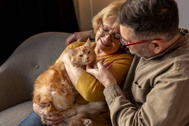 Convivir con gatos reduce el estrés y mejora la salud emocional