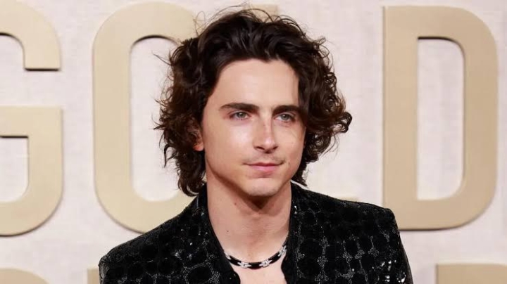 Timothée Chalamet revela rechazo en Hollywood por no cumplir estándares físicos