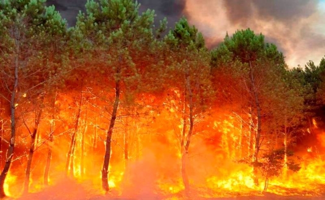 Incendio forestal azota suroeste de Francia; evacuan a 8 mil personas
