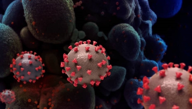 Bélgica descubre nueva variante del coronavirus.
