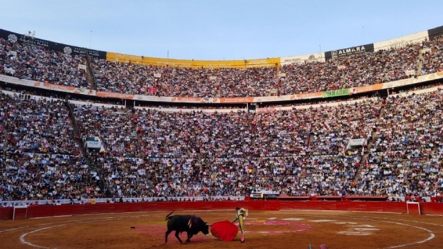 La Plaza México retoma sus corridas taurinas