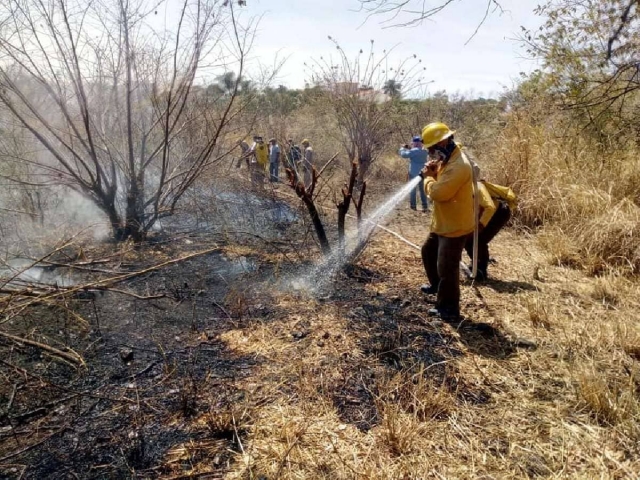 Piden acciones conjuntas contra incendios forestales