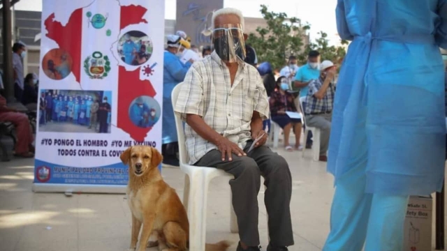 Abuelito llega a vacunarse acompañado por su perro.