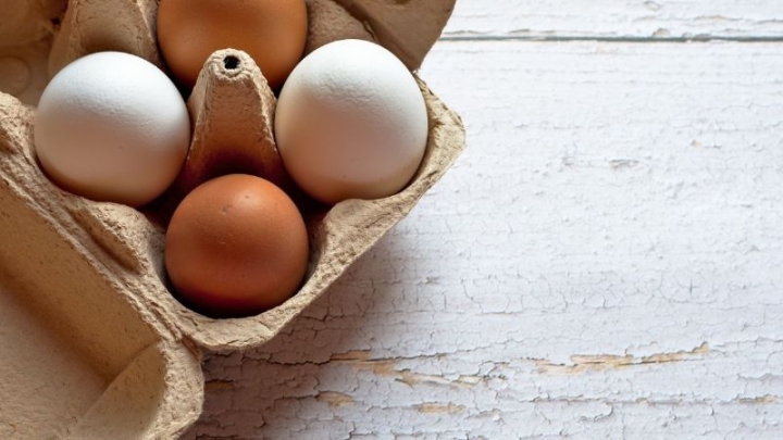¿Existen diferencias nutrimentales entre el huevo rojo y el huevo blanco? ¡Descúbrelo!