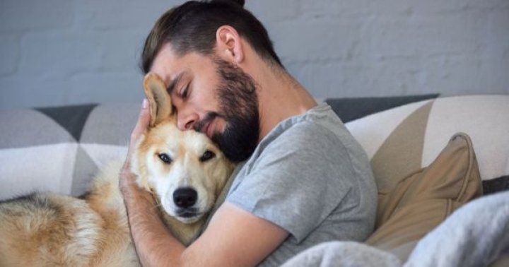 Los perros son capaces de oler el estrés de las personas, según estudio