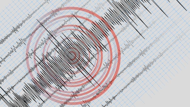 Sismo 25 de octubre de 1981: El temblor ‘olvidado’ que sacudió a la CDMX
