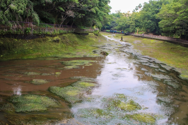 Anuncia SDS retiro de vegetación exótica y sedimentos en lago del parque Chapultepec