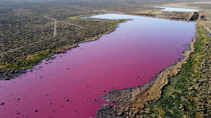 Una laguna argentina se ha vuelto de color rosa por motivos muy desagradables