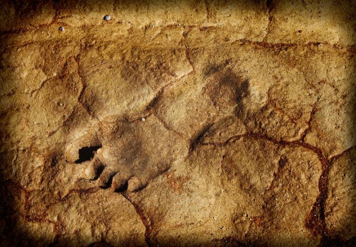 Encuentran huellas humanas con 300 mil años de antigüedad en Alemania
