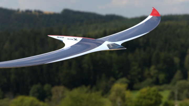 Diseñan avión en forma de ave, alimentado por energía solar