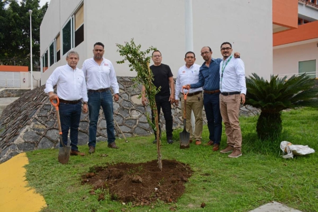 Suman esfuerzos Ayuntamiento de Cuernavaca y la CFE para ampliar jornadas de reforestación urbana