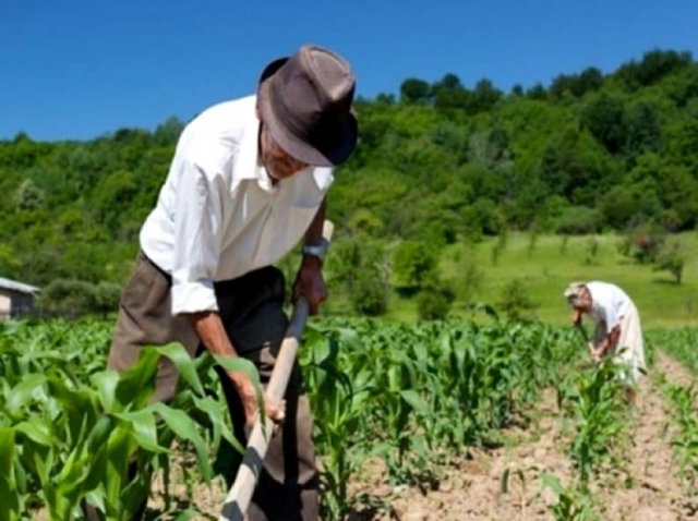 Investigación social puede mejorar vida de jornaleros agrícolas