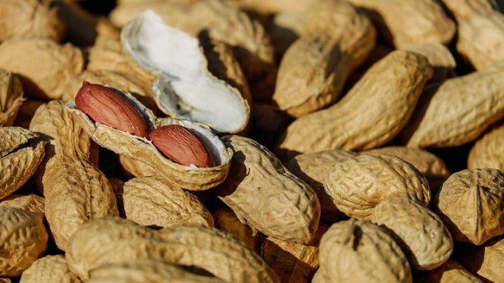 Beneficios del cacahuate: conoce interesantes datos sobre este alimento de temporada