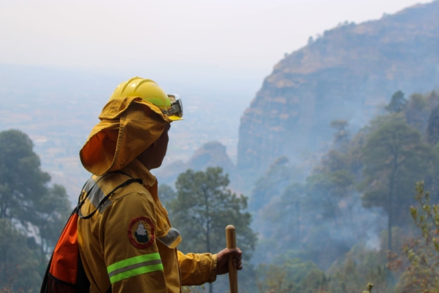 70% de liquidación y 80% de control en incendio forestal en inmediaciones de Tepoztlán y Tlayacapan: EEMI