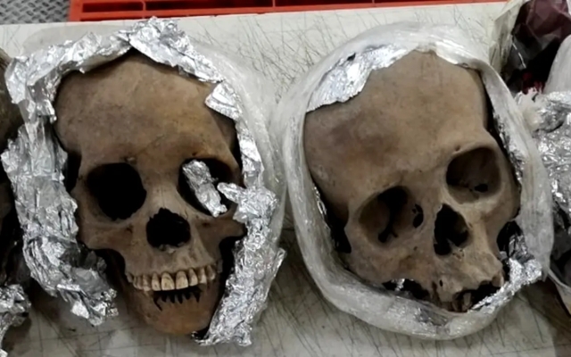 Encuentran 4 cráneos en aeropuerto de Querétaro, iban a Estados Unidos